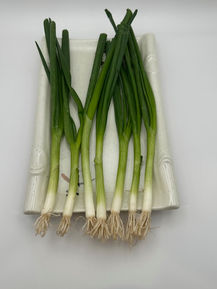 Fresh green onions